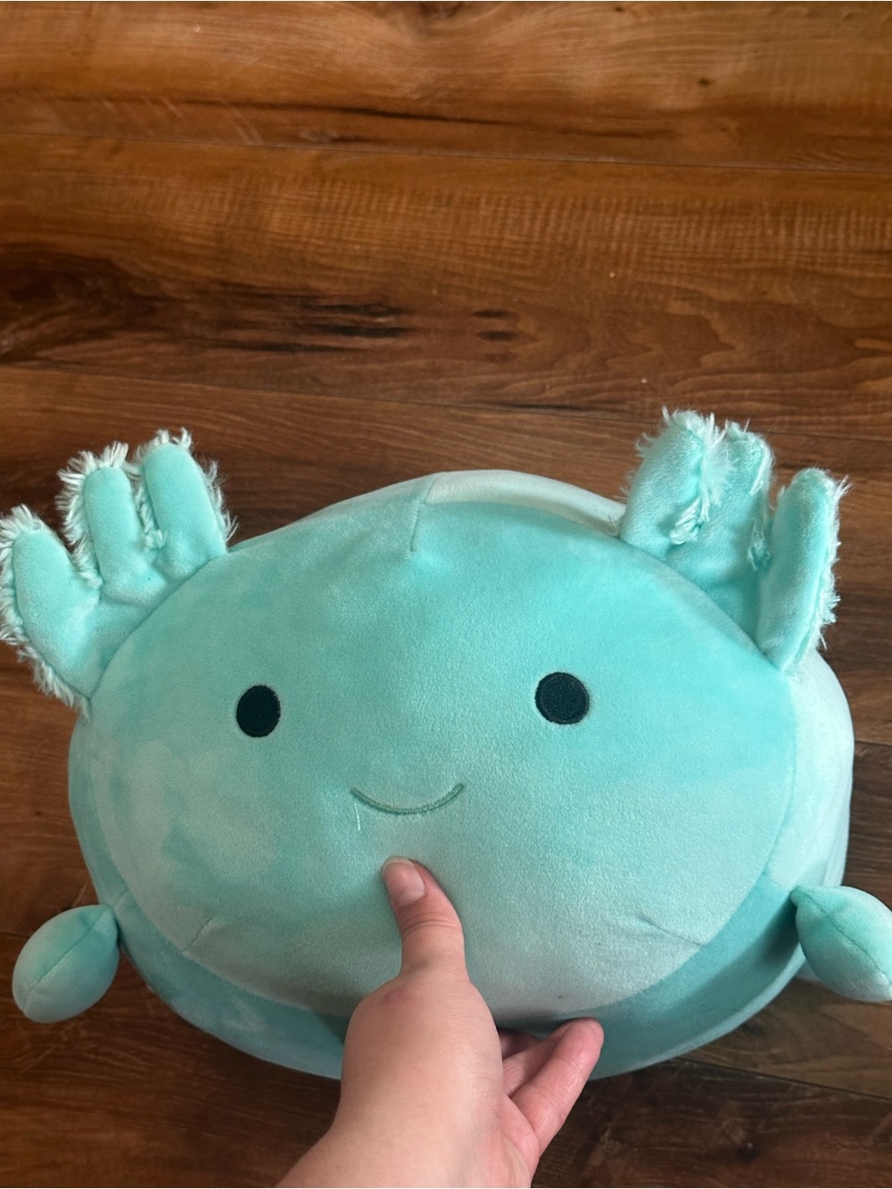 Smoochy pals axolotl